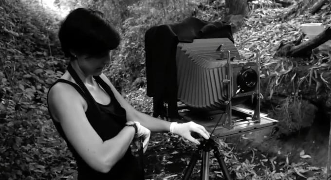 La naturaleza íntima de Fernanda Larraín llega al Edificio Consistorial de Ñuñoa