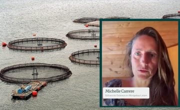 El Ciudadano México