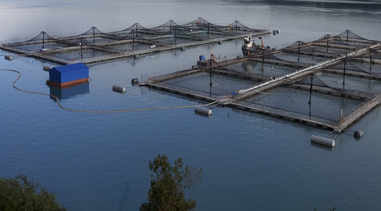 ¿Estancamiento salmonero o límite de la expansión?