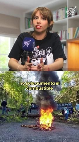 Luis Yañez