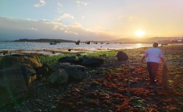 Alexia Stuebing