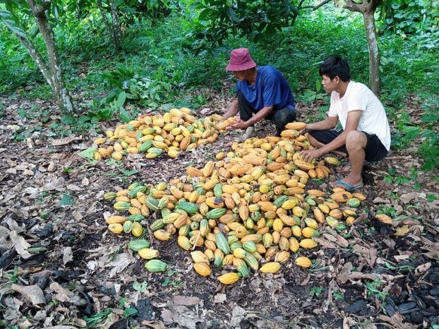 Gesetz 157: Die Agrarreform Rückkehr in Bolivien