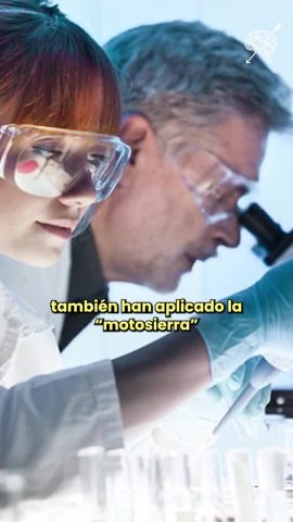 Arturo Ledezma