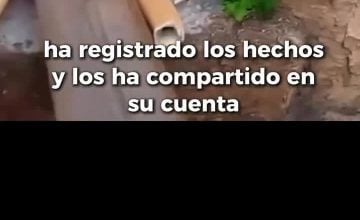 Priscilla Villavicencio