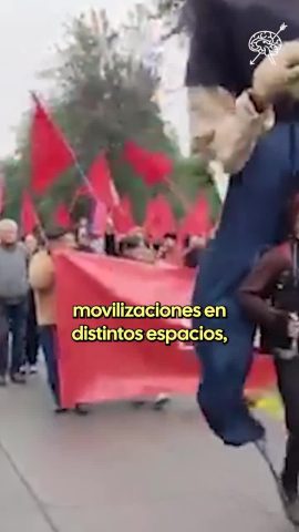 Seguel Alfredo