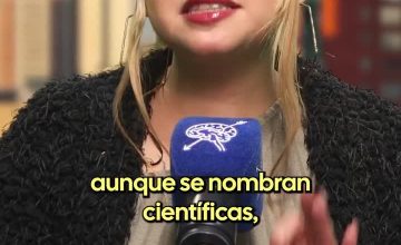 Andrea Peña