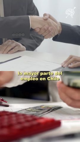 Andrea Peña
