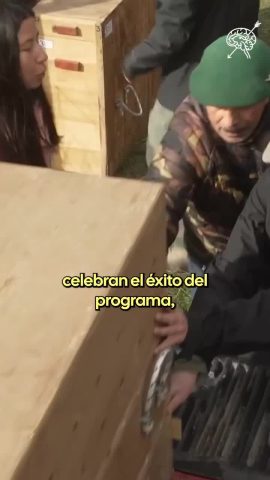El Ciudadano