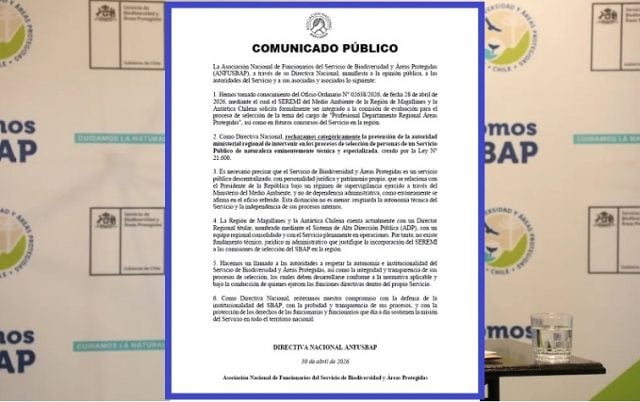 Anaid Piñas