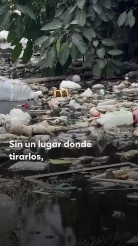 El Ciudadano México