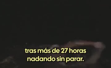 Pedro Pérez