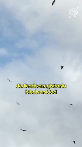 mauriciomorales