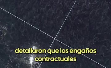 Absalón Opazo