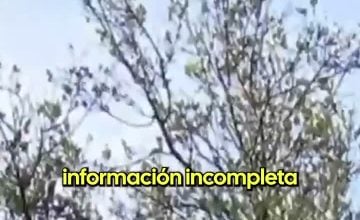 Carlos Montes