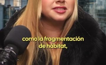 Priscilla Villavicencio