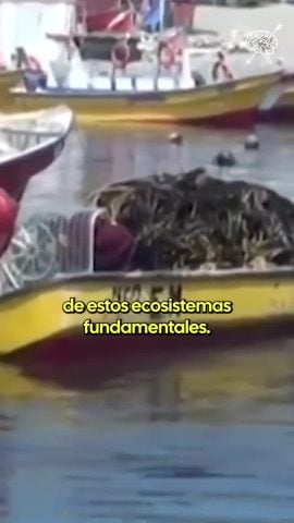 El Ciudadano México