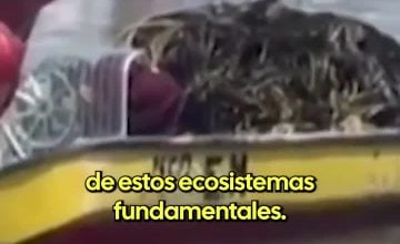 El Ciudadano México
