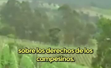 Absalón Opazo