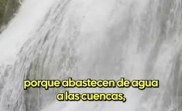 CVN