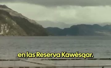 Seguel Alfredo