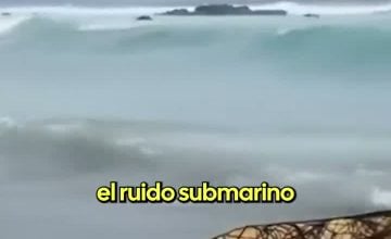 Absalón Opazo