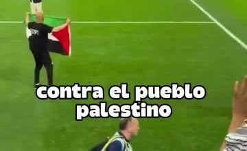 Seguel Alfredo