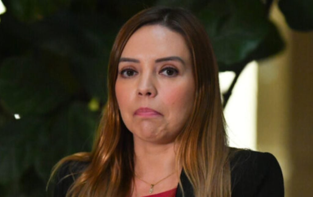 Exasesor presenta querella criminal contra senadora Camila Flores por exacciones ilegales