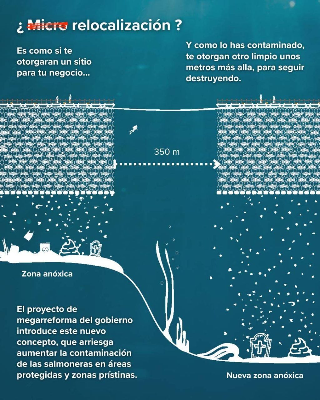 Megarreforma de Kast: Rotundo rechazo a propuesta de flexibilizar estándares ambientales a la industria salmonera