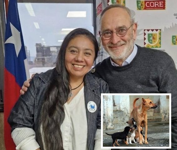 “Esterilización, educación y sensibilización”: Presidenta de CECF Chile, Pamela Ñancupil, valora plan Araucanía ante sobrepoblación de perros y gatos