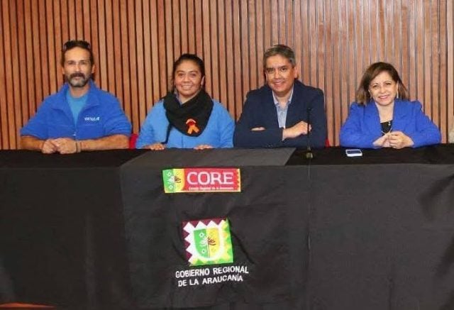 “Esterilización, educación y sensibilización”: Presidenta de CECF Chile, Pamela Ñancupil, valora plan Araucanía ante sobrepoblación de perros y gatos