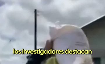 Absalón Opazo