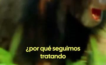 El Ciudadano