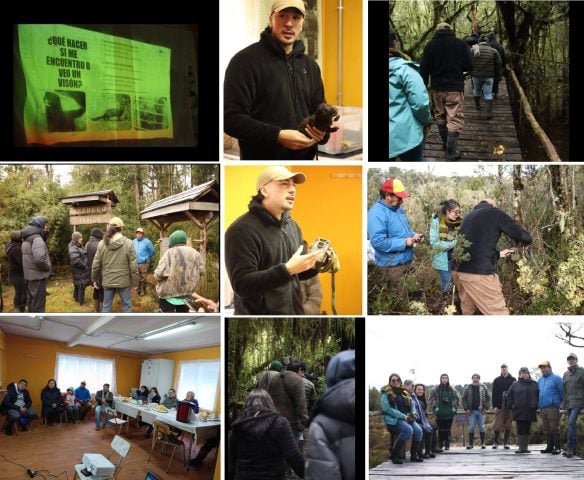 Conservación, turberas y especies invasoras: importante encuentro de capacitación se realizó en comunidad de Chonchi (Chiloé)