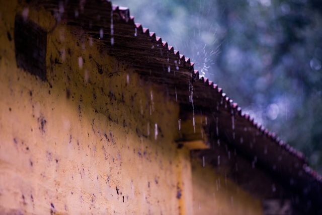 «Chile es uno de los países más vulnerables a la crisis climática»: WWF llamó a fortalecer adaptación y resiliencia pero también a enfrentar desafíos estructurales