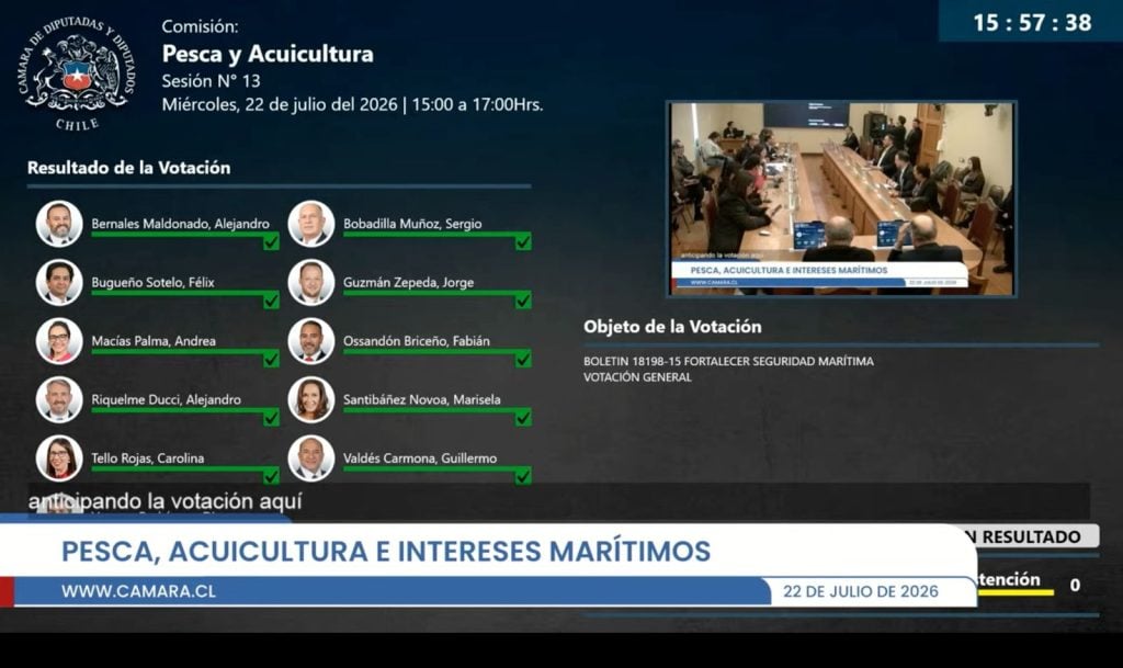 Emergencia en caletas y aprobación de la «Ley Bruma» reactivan la demanda por una plataforma social para la pesca artesanal