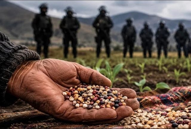 Threat to Traditional Seeds in Chile: Latin American Agroecological Movement Accuses SAG of «Dictatorship»