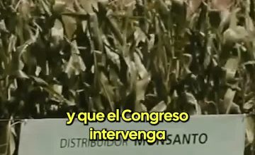 Absalón Opazo