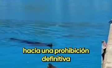 Leo Robles