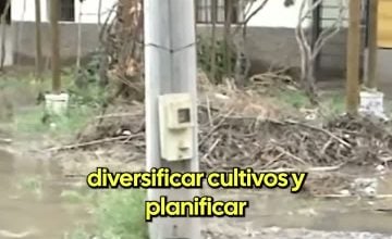 Latina Campos