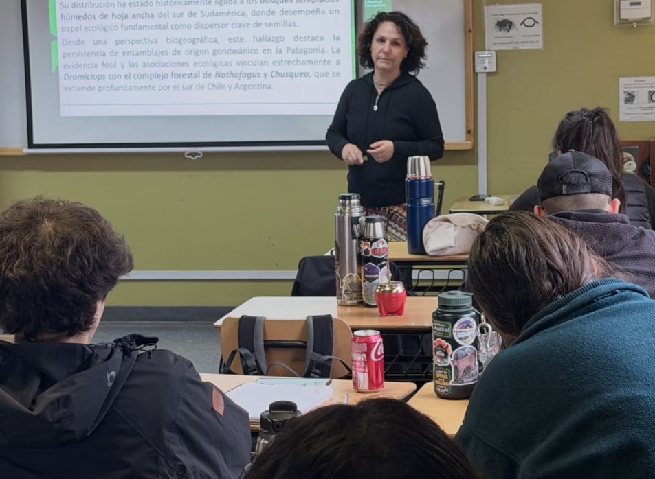 Campus Patagonia UACh: Especialista aborda hallazgo de la población más austral del monito del monte