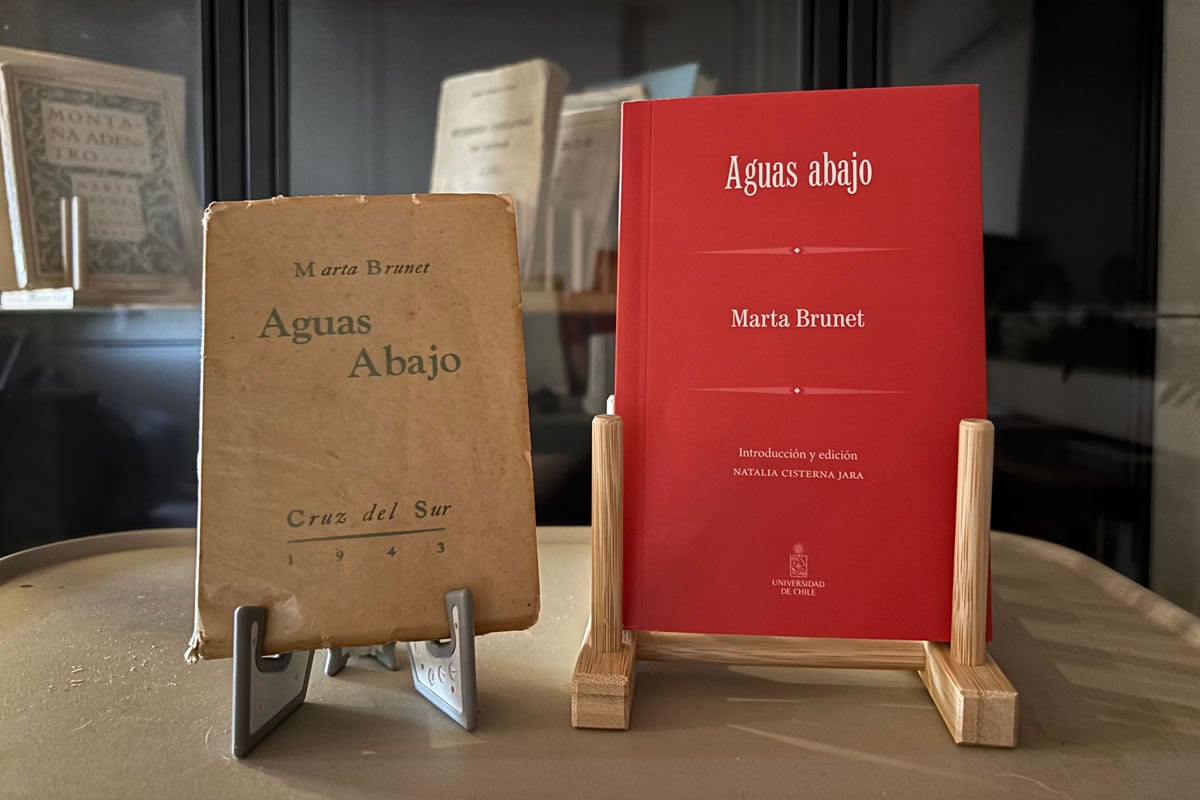 Why Read Marta Brunet Today? Insights on the Reissue of "Aguas Abajo"