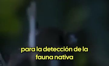 mauriciomorales