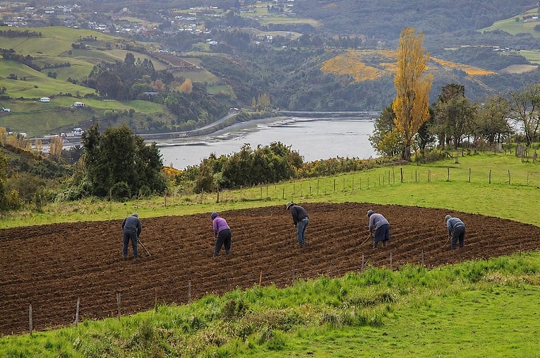 Peasant School Advocates for Seeds as Life, Memory, and Sovereignty of Communities