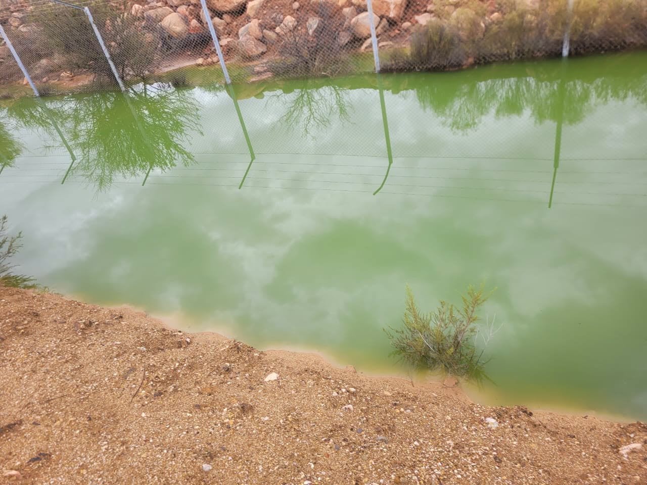 Tres Valles Mining Pollutes Quilmenco Estuary in Chuchiñí: Concerns Grow Over Groundwater Contamination