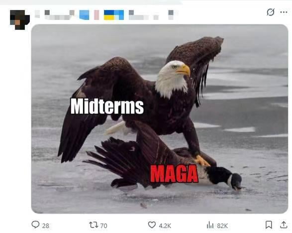 Un águila contra un ganso: la Casa Blanca enciende las redes con una imagen que se volvió meme en guerra comercial Estados Unidos – Canadá