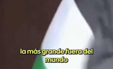 Axel Indey