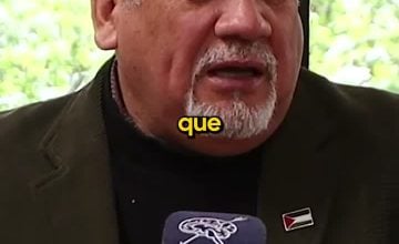 Meritxell Freixas