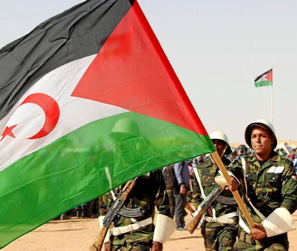 Western Sahara: The Unhealed Wound of Colonialism in the 21st Century
