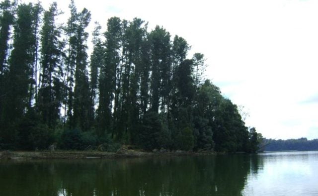 Patrimonio fiscal en venta: Gobierno incluye tres islas en plan “Se busca dueño”