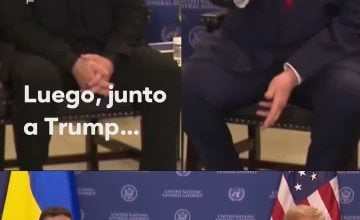 Latina Campos